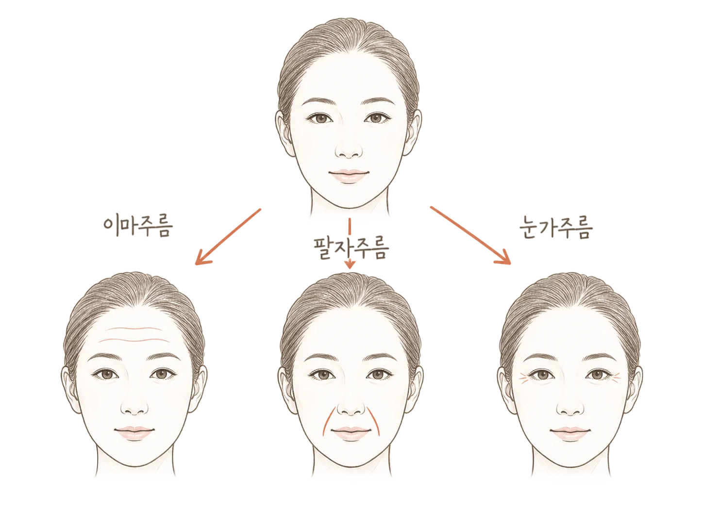 팔자주름 비교 스케치