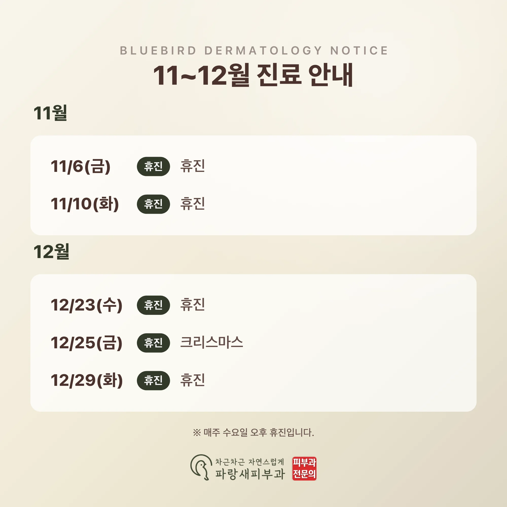 11월 진료일정